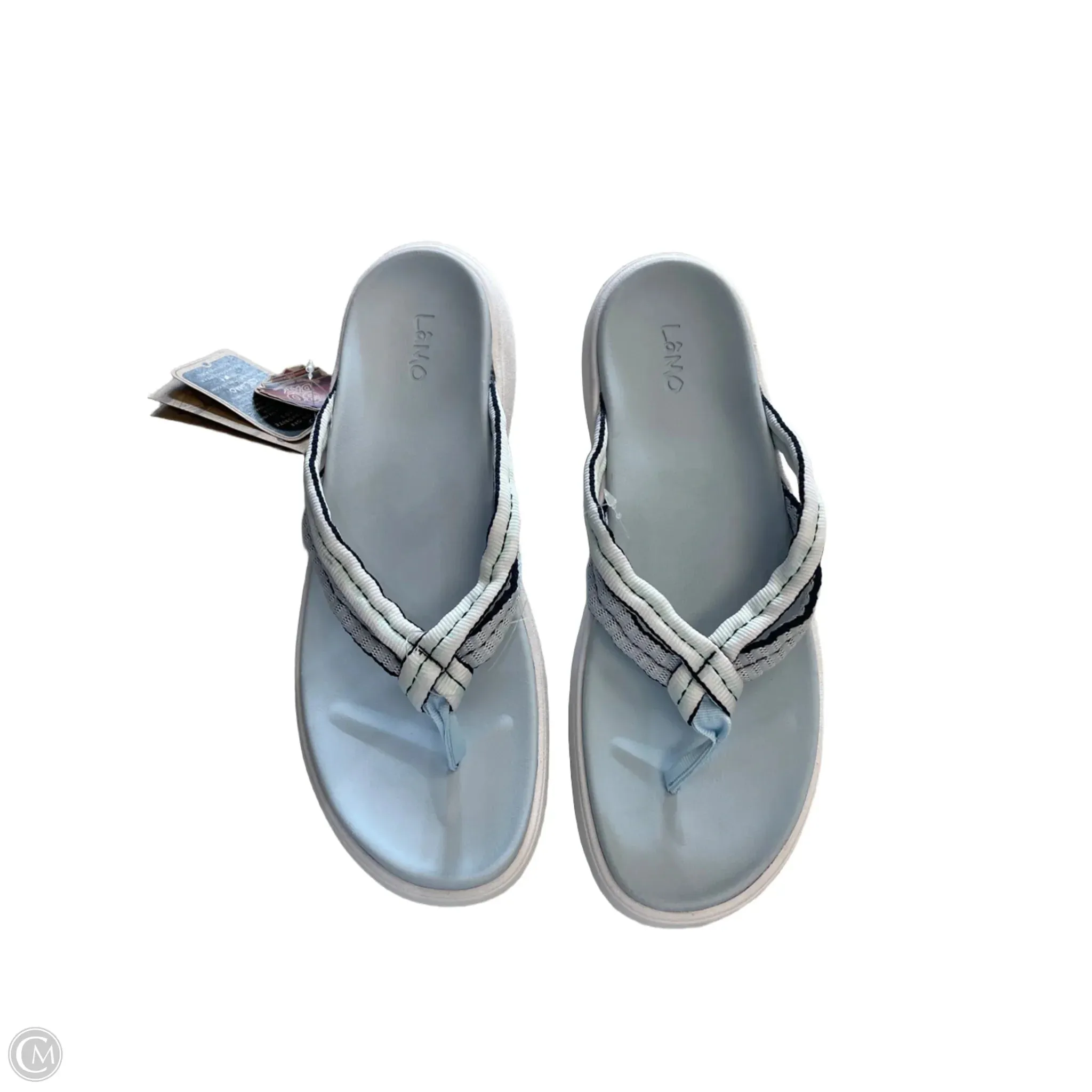 Sandals Flip Flops By Lamo In Blue, Size: 10