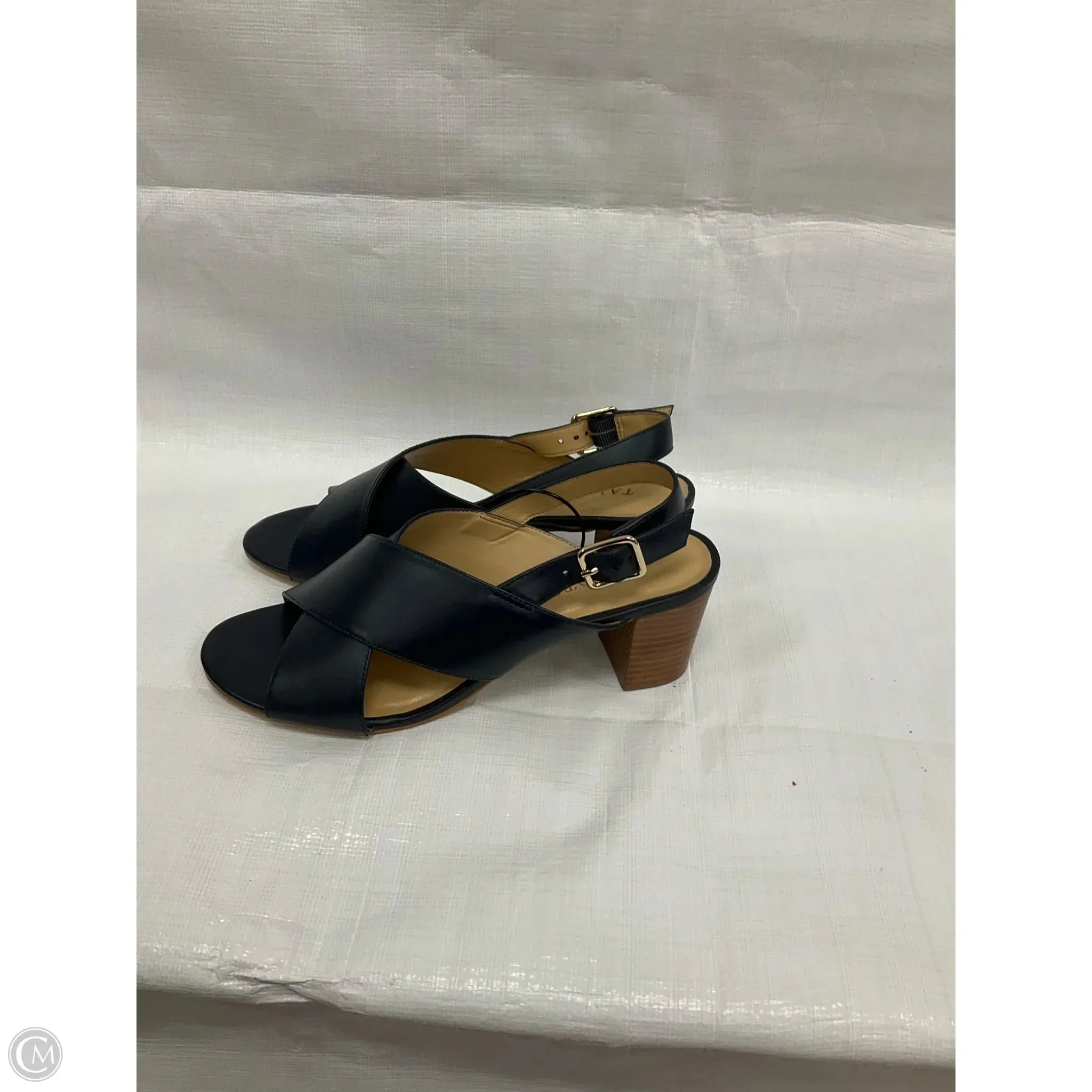 Shoes Heels Kitten By Talbots In Navy, Size: 8